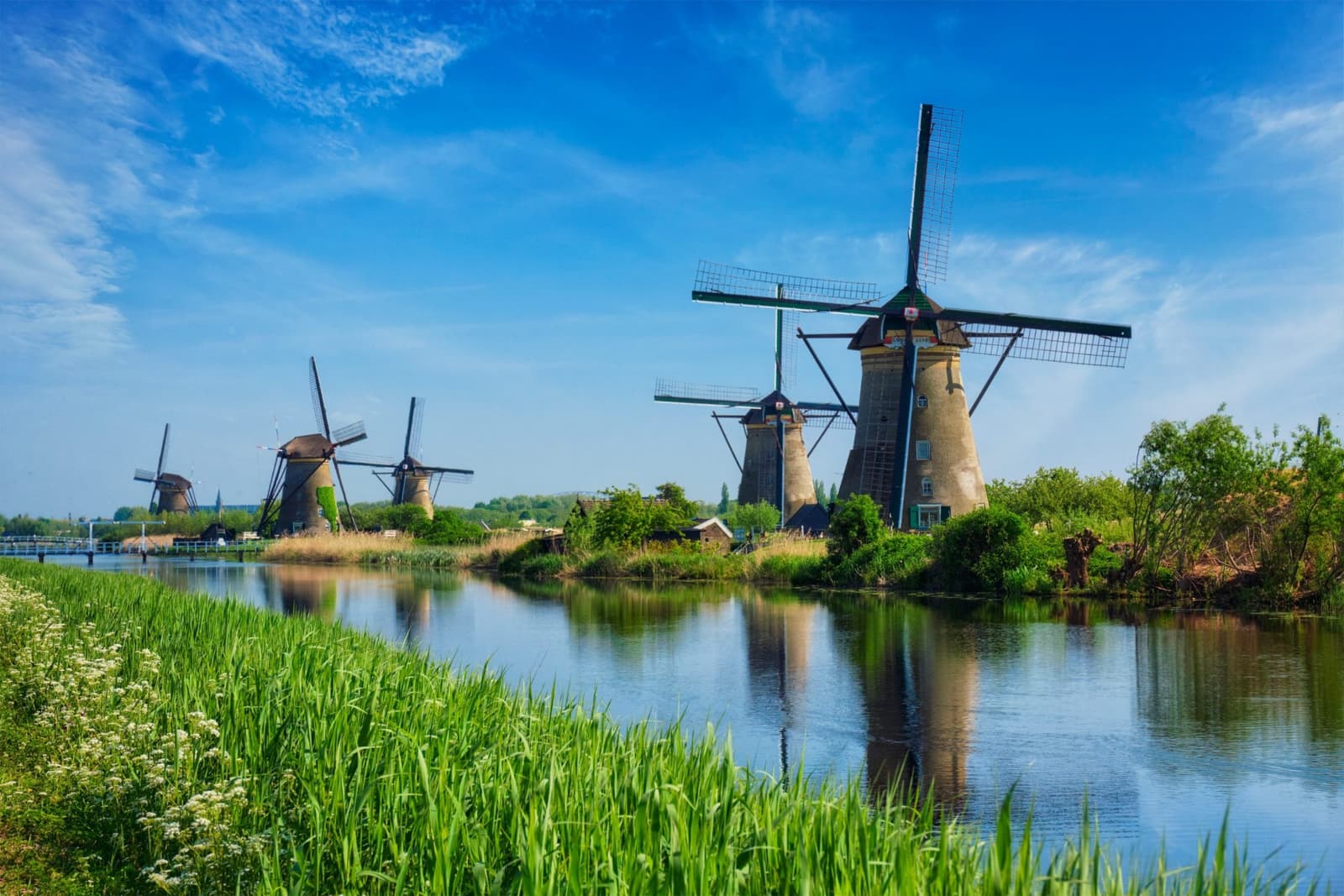 The windmills of Kinderdijk beside a reed-lined canal